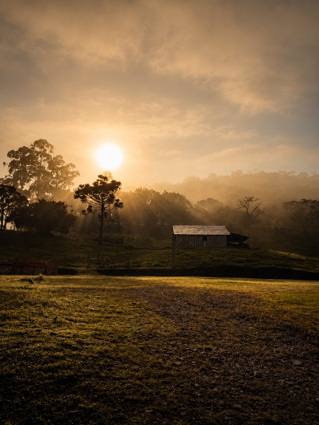Amanhecer sobre o campo e as montanhas da propriedade