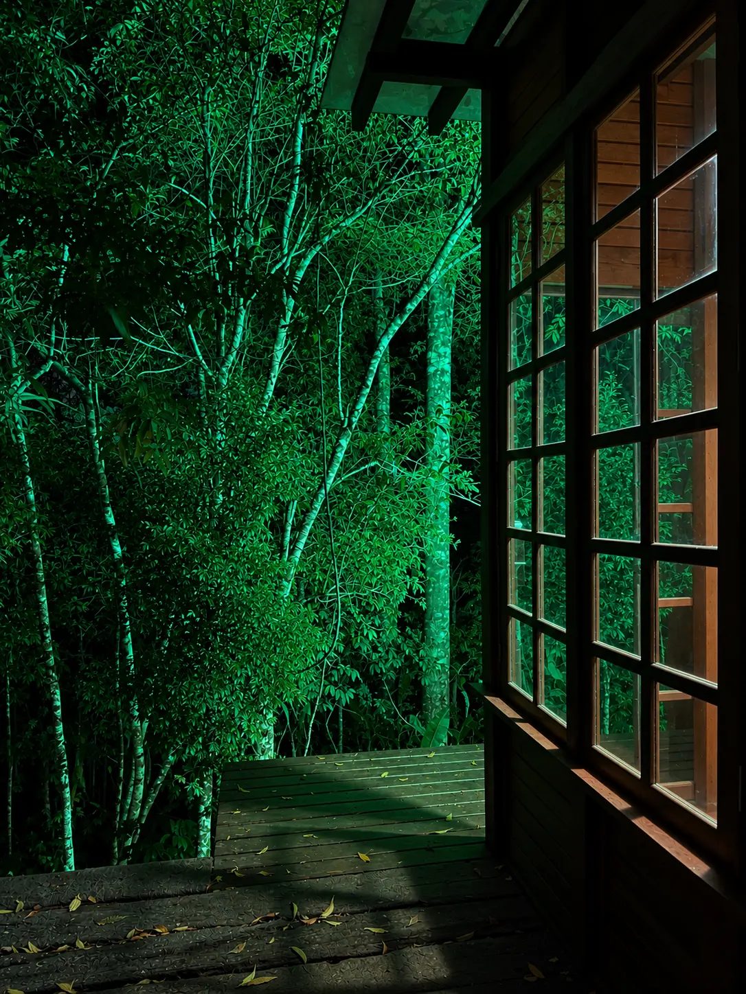 Mata iluminada à noite vista da varanda da cabana